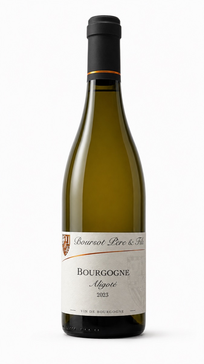 Bourgogne Aligoté 2023