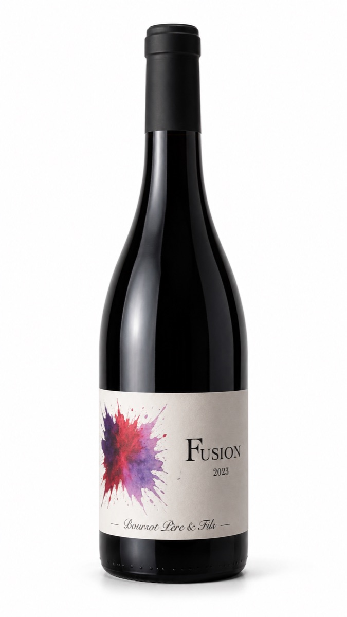 Fusion 2023